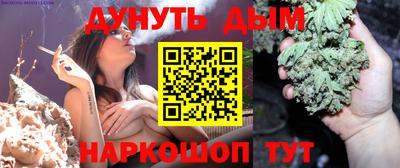 стаф Можга