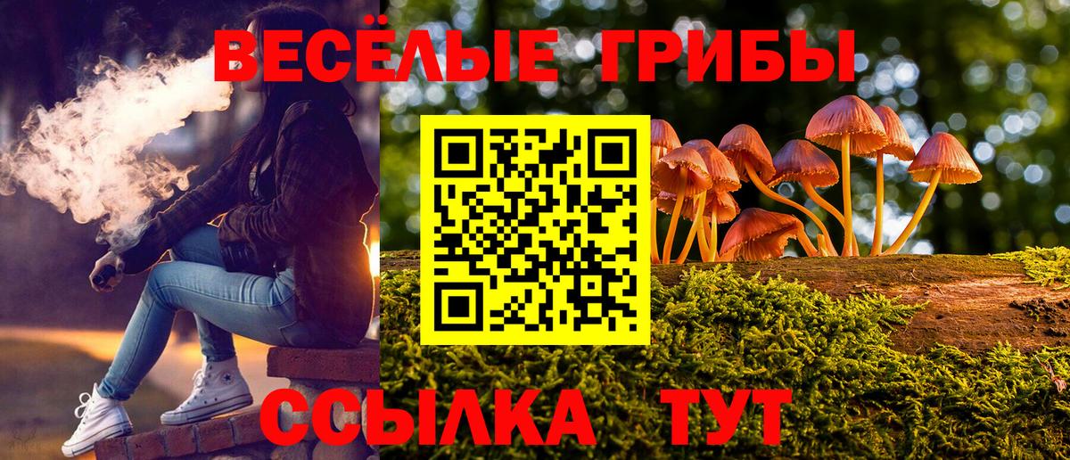 Галлюциногенные грибы GOLDEN TEACHER Сорочинск